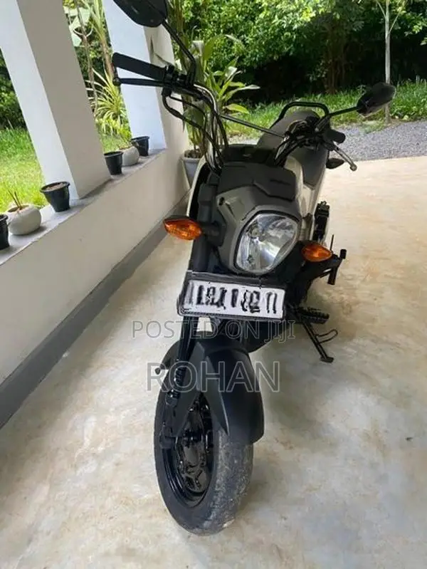 Honda Navi 2019
