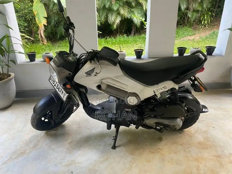 Honda Navi 2019