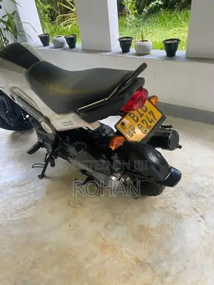 Honda Navi 2019