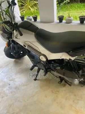 Honda Navi 2019