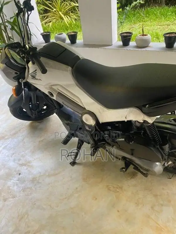 Honda Navi 2019