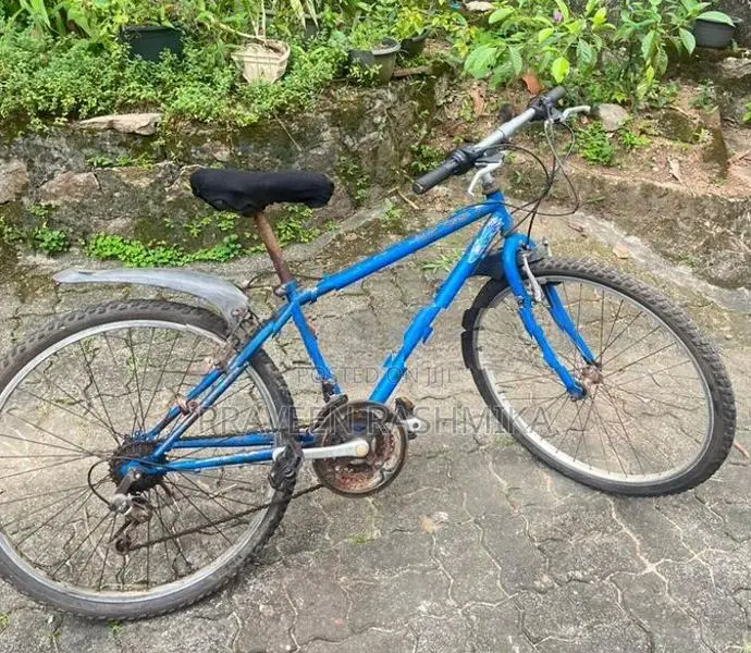 Blue Mountain Bicycle / MTB