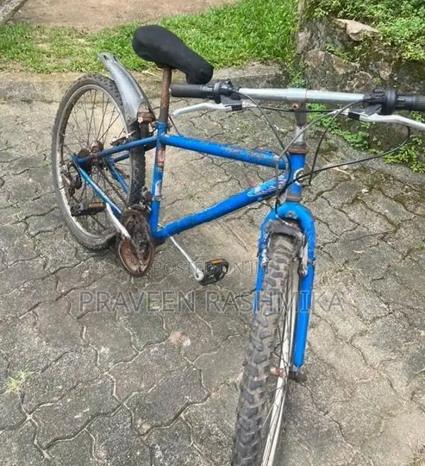 Blue Mountain Bicycle / MTB