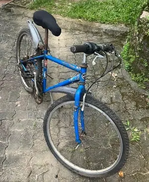 Blue Mountain Bicycle / MTB