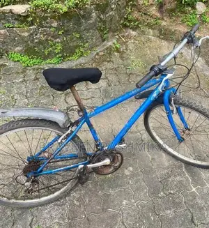 Blue Mountain Bicycle / MTB