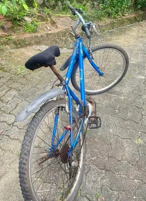 Blue Mountain Bicycle / MTB