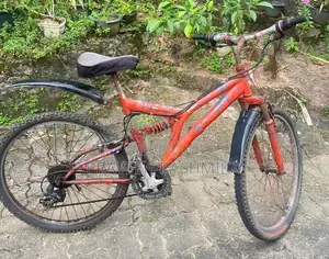 Red Dual Suspension Mountain Bicycle / MTB