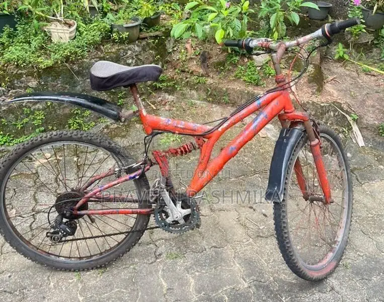 Red Dual Suspension Mountain Bicycle / MTB