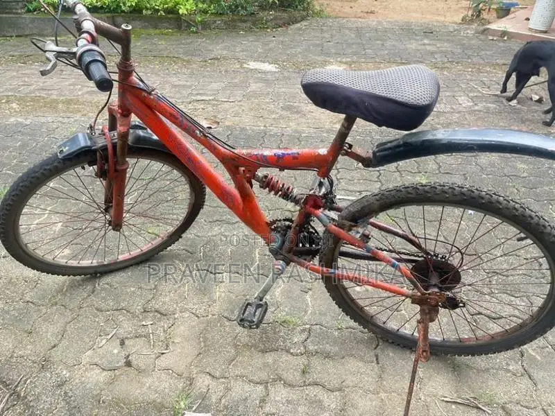 Red Dual Suspension Mountain Bicycle / MTB