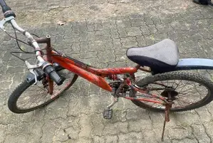 Red Dual Suspension Mountain Bicycle / MTB