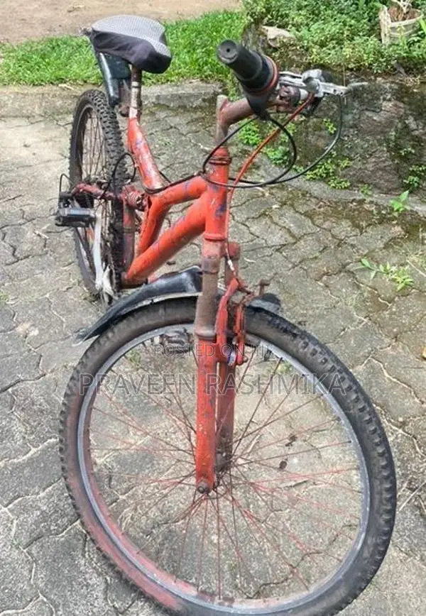 Red Dual Suspension Mountain Bicycle / MTB