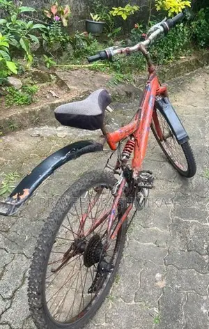 Red Dual Suspension Mountain Bicycle / MTB