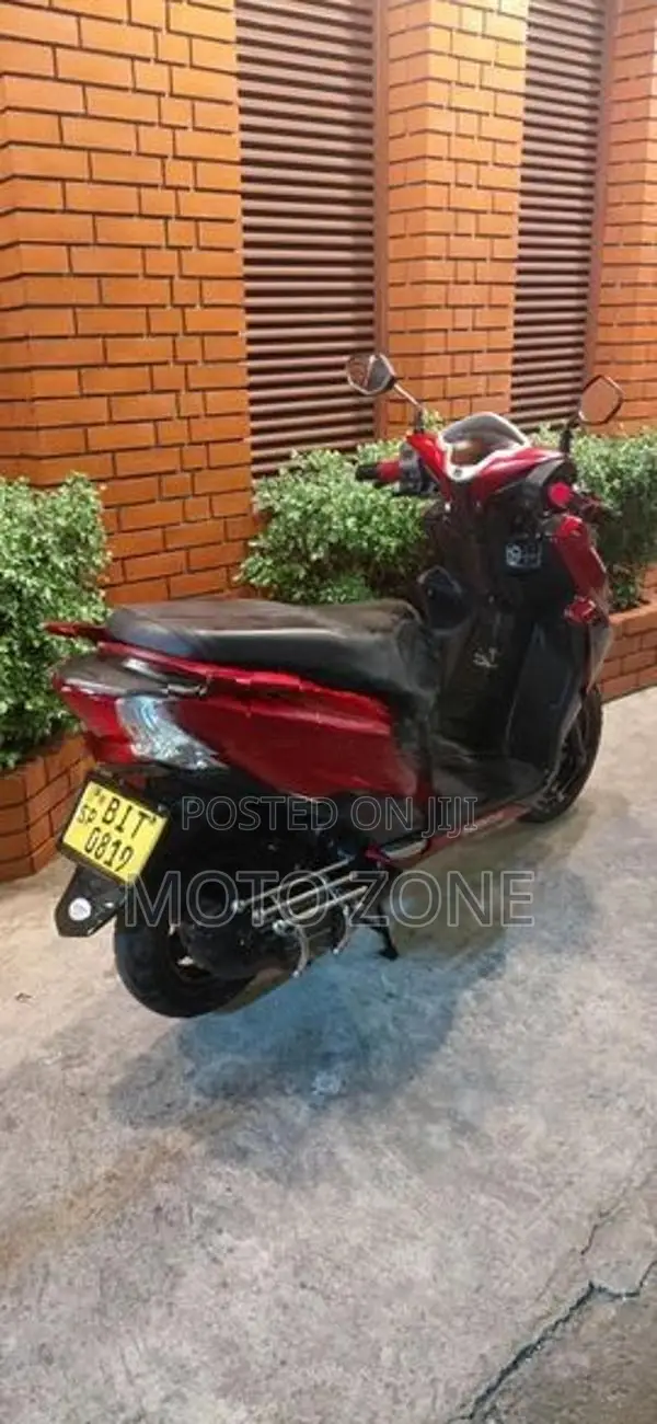 Honda Grazia 2019