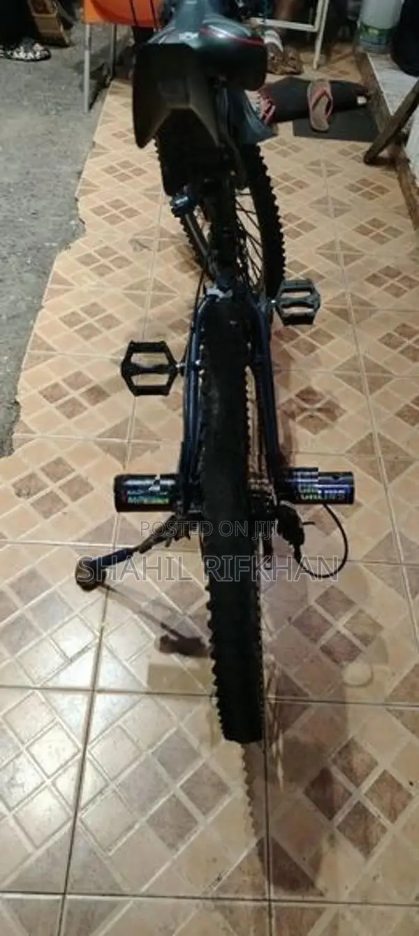 Mountain Bike