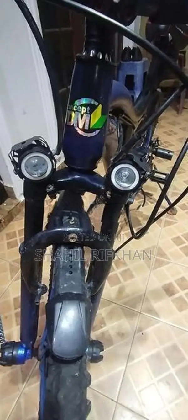 Mountain Bike
