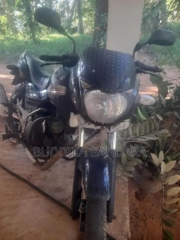 Bajaj Pulsar 150 Pulser 2010