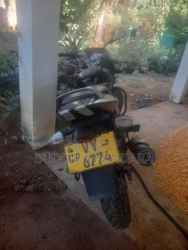 Bajaj Pulsar 150 Pulser 2010