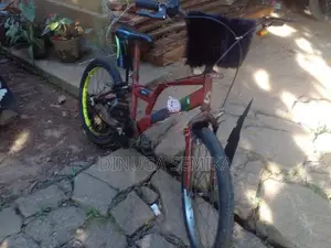 Lumala Bicycle