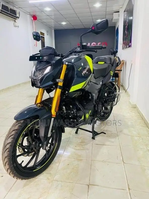 Hero Hunk 160R Brand New 2026