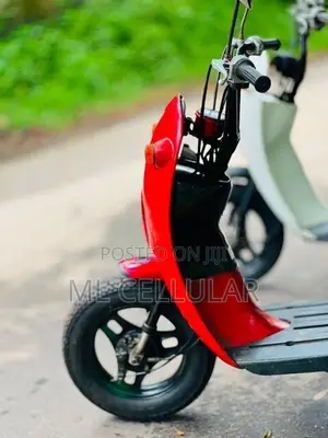 48cc 2023