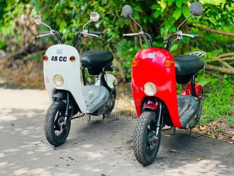 48cc 2023