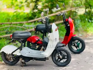 48cc 2023
