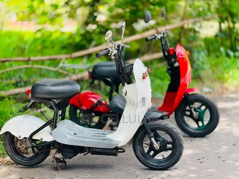 48cc 2023