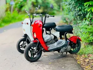 48cc 2023