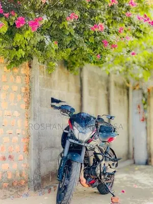 Bajaj Pulsar NS200 2025