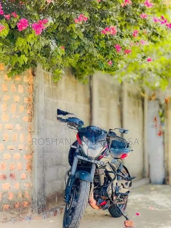Bajaj Pulsar NS200 2025