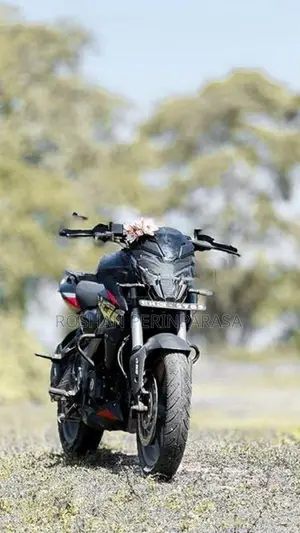 Bajaj Pulsar NS200 2025