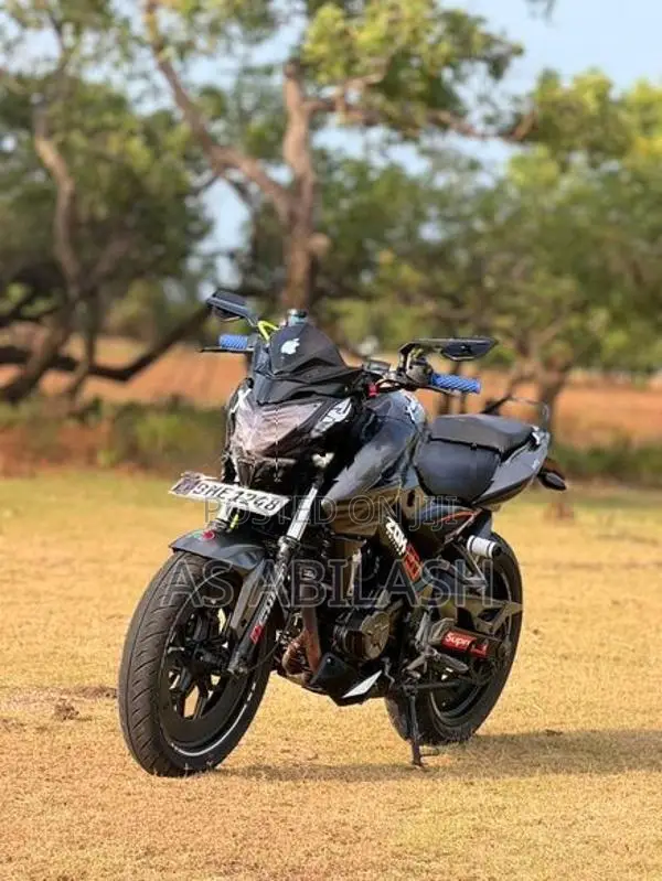 Bajaj Pulsar NS200 2019
