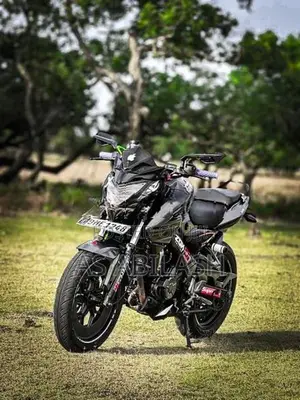 Bajaj Pulsar NS200 2019