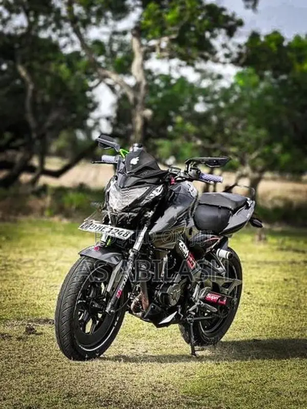 Bajaj Pulsar NS200 2019