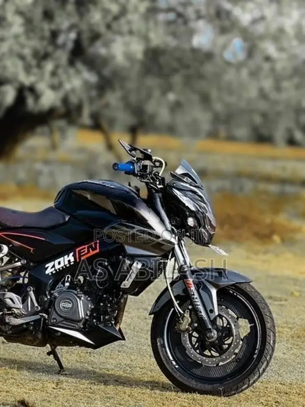 Bajaj Pulsar NS200 2019