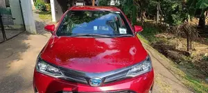 Toyota Axio WXB 2018