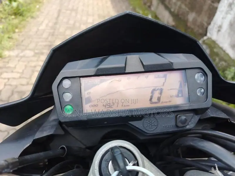 Yamaha FZs V2 double diss 2019