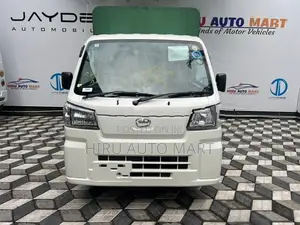 Toyota Pixis Truck Closed 2022