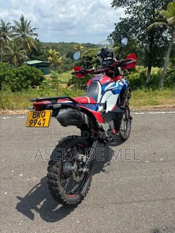 Honda CRF250 2024