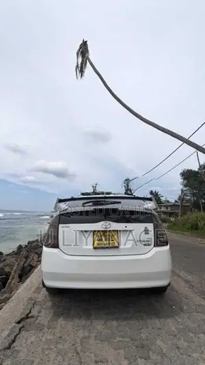 Toyota Prius S10th Anniversary 2009