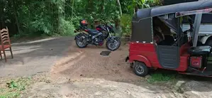 Bajaj Pulsar NS200 2025