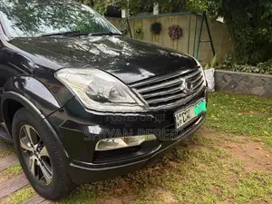 Ssang Yong Rexton Highest Spec 2015