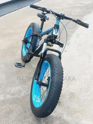 Japan Fat Tire Bicycle