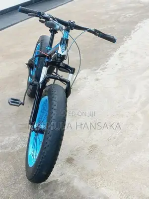 Japan Fat Tire Bicycle