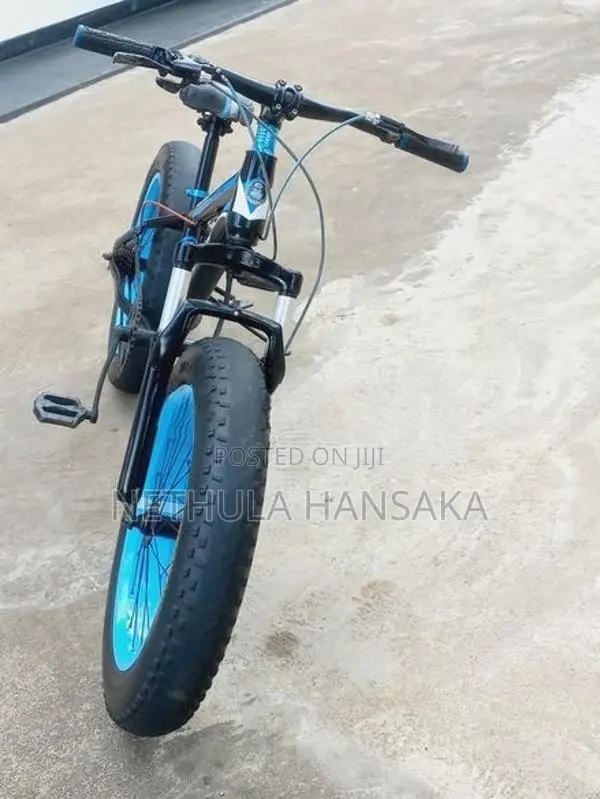 Japan Fat Tire Bicycle