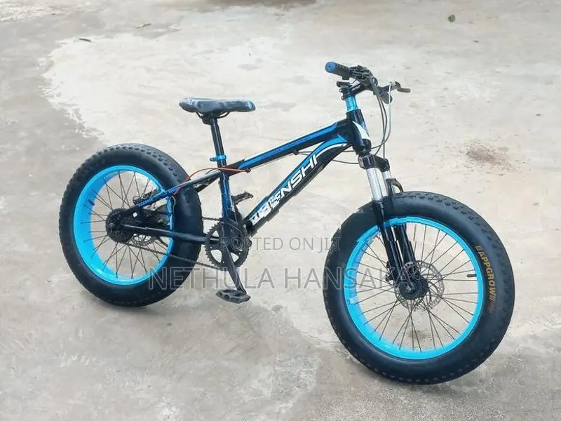 Japan Fat Tire Bicycle