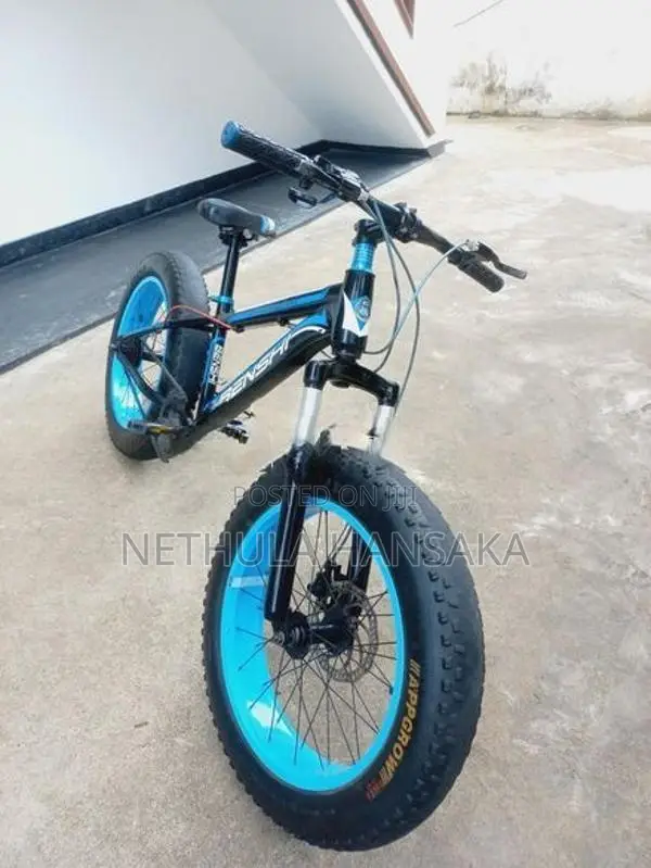 Japan Fat Tire Bicycle