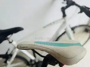 Bianchi Bicycle