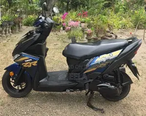 Yamaha Ray ZR BGX Disc 2018