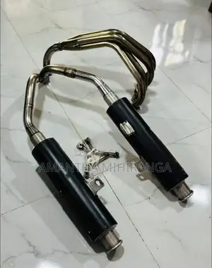 Exhaust System